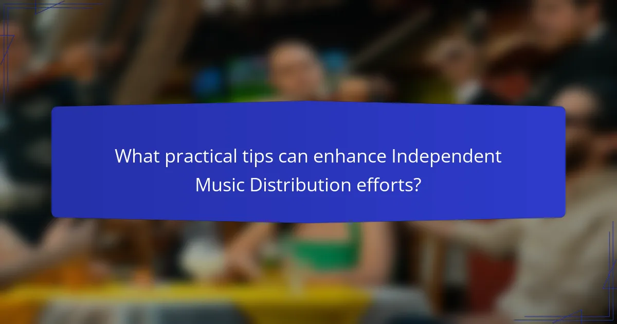 What practical tips can enhance Independent Music Distribution efforts?